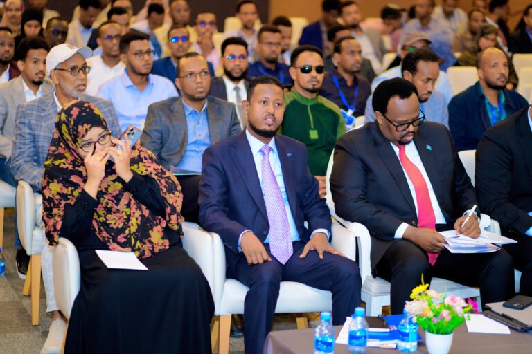 Provision of Media services, translationand printing-Validation workshop forINFF and DFA